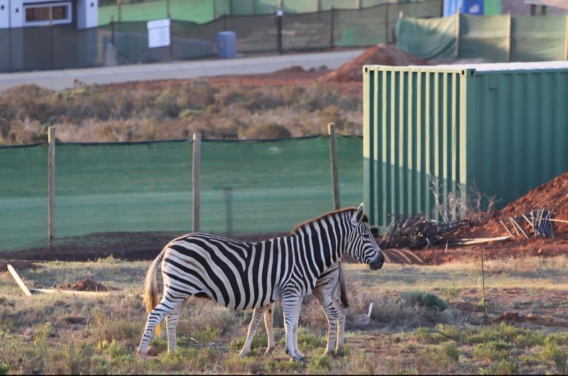 0 Bedroom Property for Sale in Outeniquasbosch Western Cape